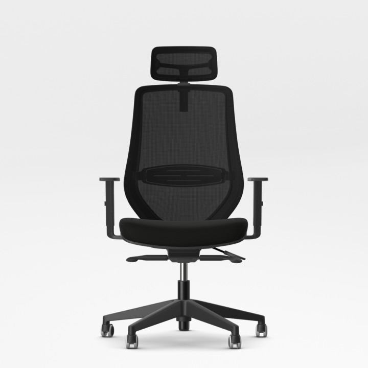 Ergonomiška Kėdė BALANCE