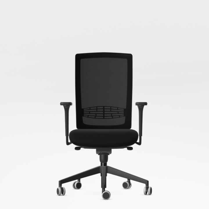 Ergonomiška Kėdė BEGIN