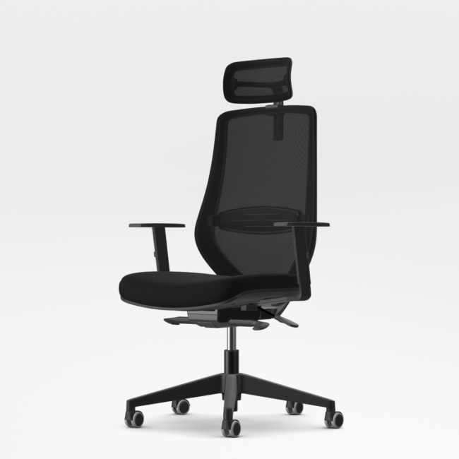 Ergonomiška Kėdė BALANCE - Image 5